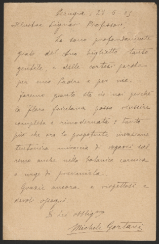 Anteprima dell'oggetto