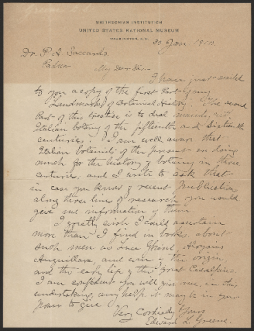 Anteprima dell'oggetto