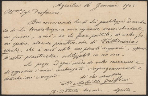 Anteprima dell'oggetto