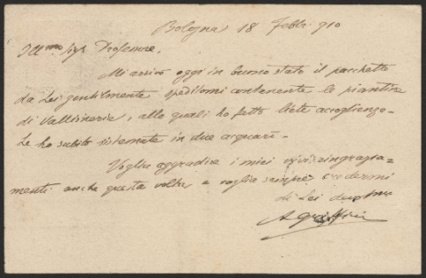 Anteprima dell'oggetto