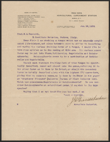 Anteprima dell'oggetto