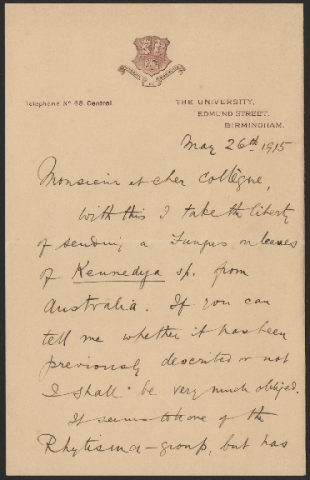 Anteprima dell'oggetto