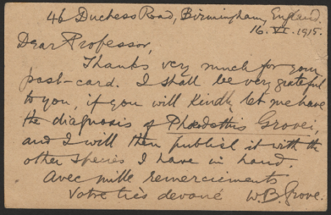 Anteprima dell'oggetto