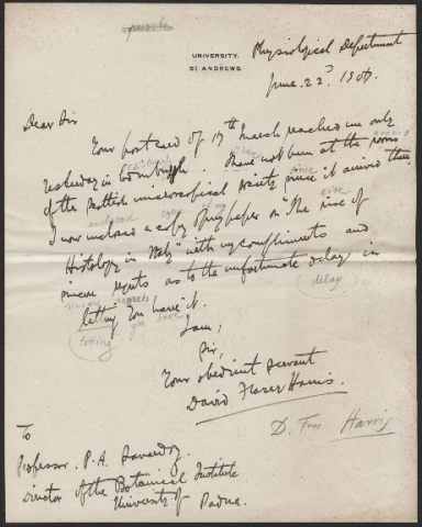 Anteprima dell'oggetto