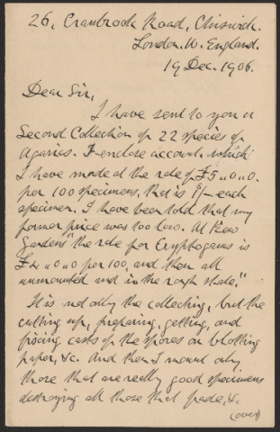 Anteprima dell'oggetto