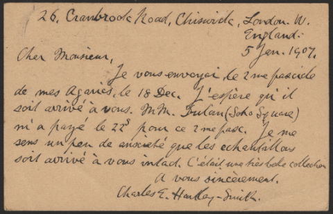 Anteprima dell'oggetto