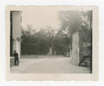 Orto botanico di Padova, 1942