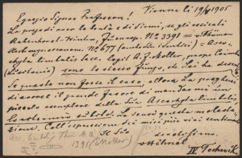 Anteprima dell'oggetto