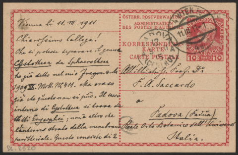 Anteprima dell'oggetto