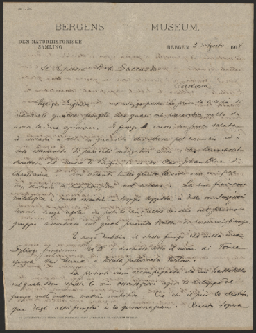 Anteprima dell'oggetto