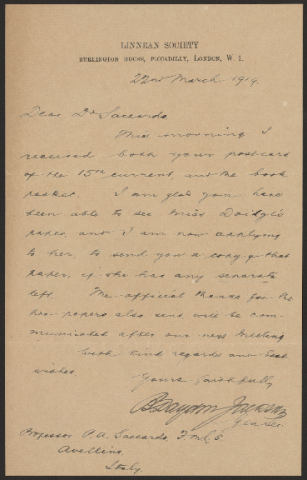 Anteprima dell'oggetto