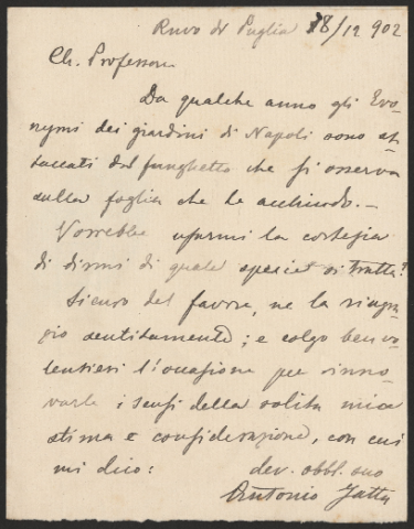 Anteprima dell'oggetto