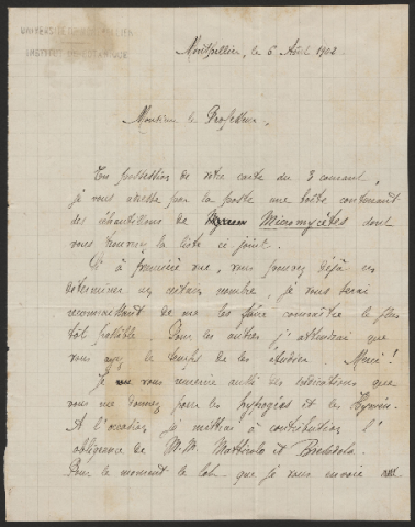 Anteprima dell'oggetto