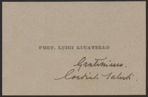 Anteprima dell'oggetto