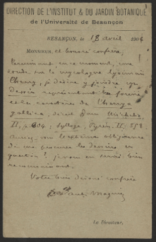 Anteprima dell'oggetto