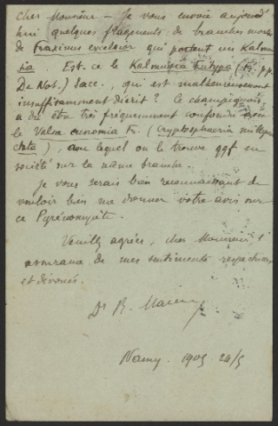 Anteprima dell'oggetto