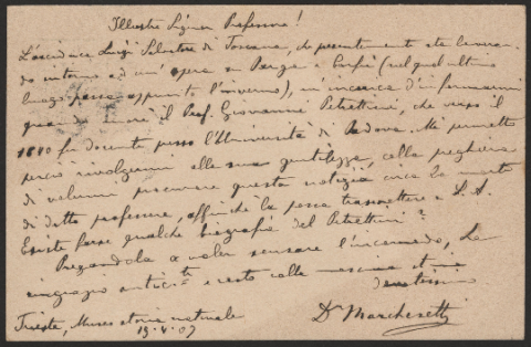 Anteprima dell'oggetto