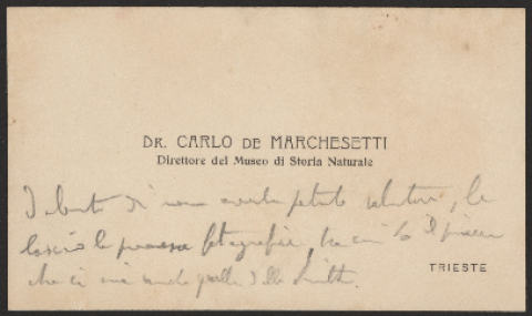 Anteprima dell'oggetto