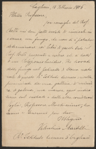 Anteprima dell'oggetto