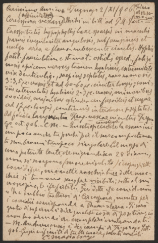 Anteprima dell'oggetto