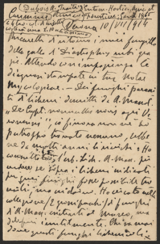 Anteprima dell'oggetto