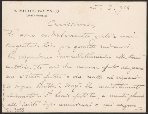 Anteprima dell'oggetto