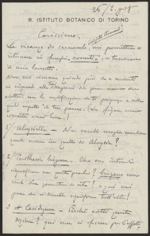 Anteprima dell'oggetto