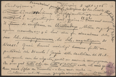 Anteprima dell'oggetto