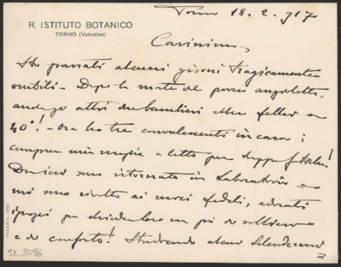 Anteprima dell'oggetto