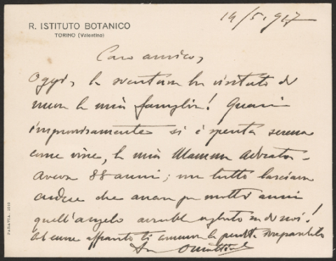 Anteprima dell'oggetto