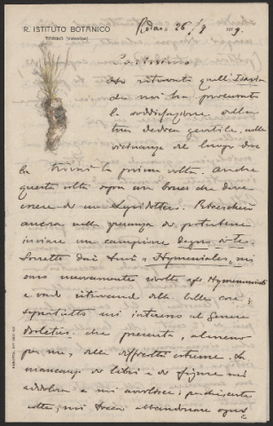 Anteprima dell'oggetto