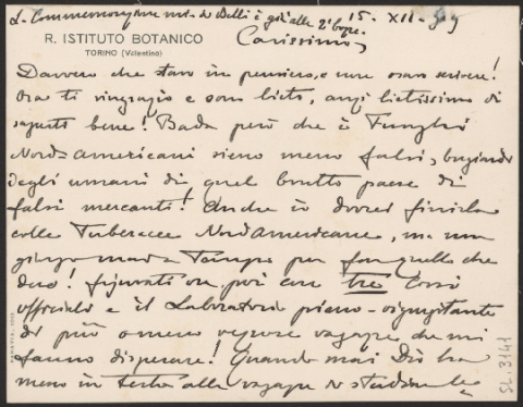 Anteprima dell'oggetto