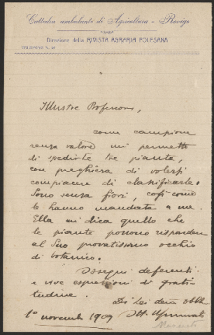 Anteprima dell'oggetto