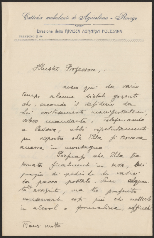 Anteprima dell'oggetto