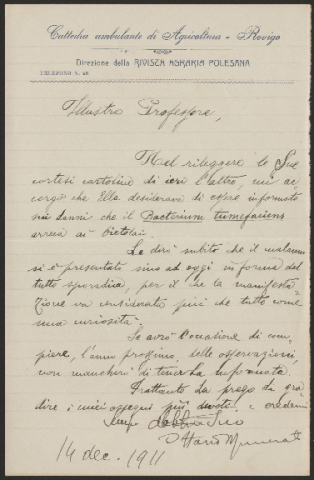 Anteprima dell'oggetto