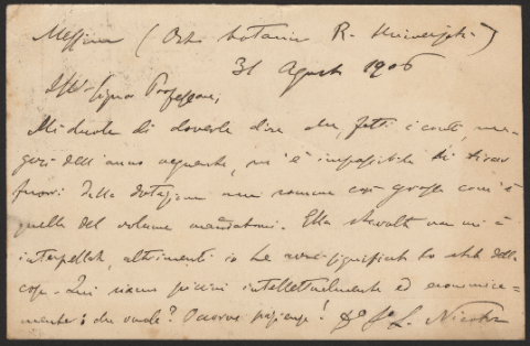 Anteprima dell'oggetto