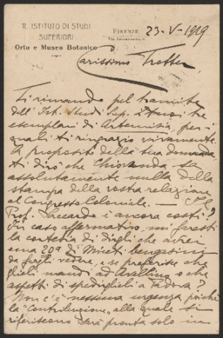 Anteprima dell'oggetto