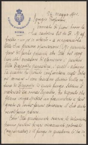 Anteprima dell'oggetto