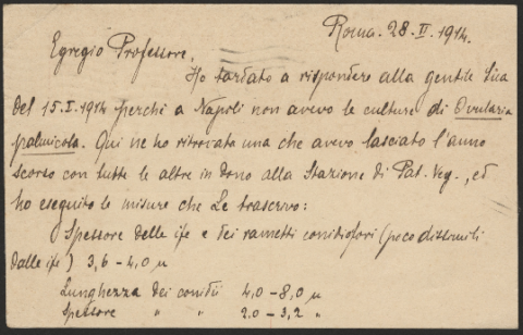 Anteprima dell'oggetto