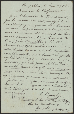 Anteprima dell'oggetto