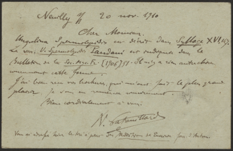 Anteprima dell'oggetto