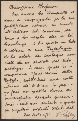 Anteprima dell'oggetto