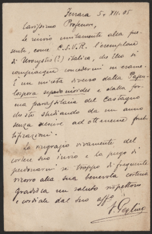 Anteprima dell'oggetto