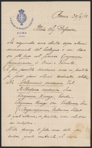 Anteprima dell'oggetto