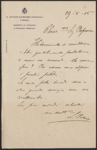 Anteprima dell'oggetto