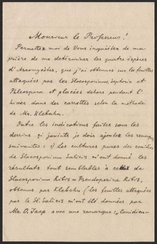 Anteprima dell'oggetto