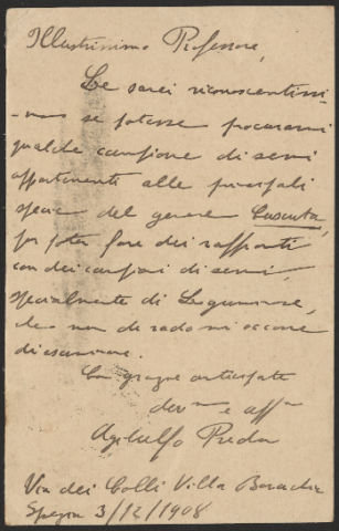 Anteprima dell'oggetto