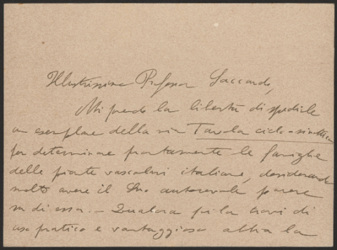 Anteprima dell'oggetto