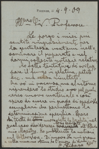 Anteprima dell'oggetto