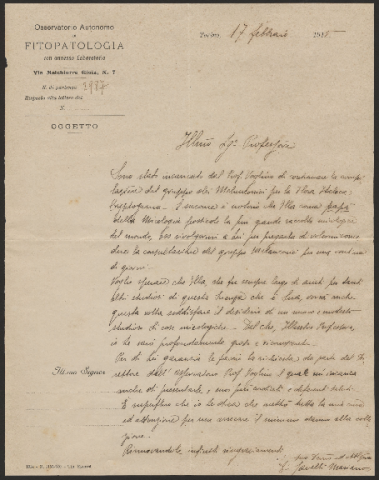 Anteprima dell'oggetto